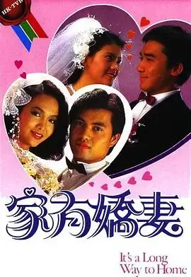 家有娇妻国语 海报