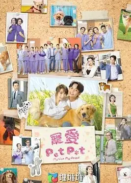 《宠爱PetPet国语》：萌宠治愈系电影，温暖你的心