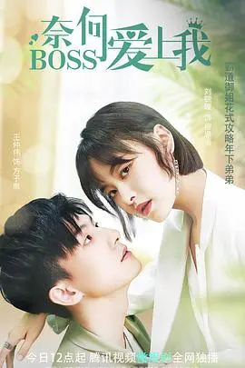 《奈何BOSS爱上我》：霸道总裁与职场小白的甜蜜虐恋