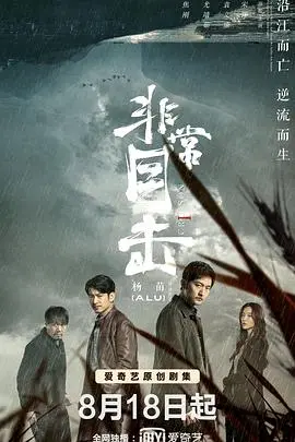 《非常目击》：迷雾重重的真相，时间与记忆交织的悬疑之网！