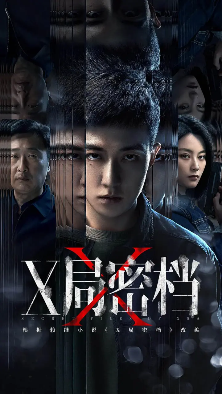 《X局密档》：揭秘尘封的真相，一场关于正义与牺牲的深度博弈！