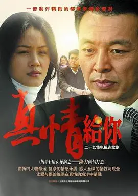 《真情给你》：一部触动灵魂的爱情电影，关于救赎与奉献的深刻解读