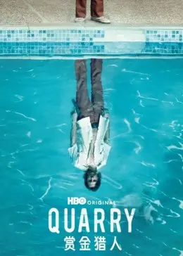 《赏金猎人》：跨国追逐与命运交织的动作盛宴，揭秘隐藏的阴谋与情感纠葛！